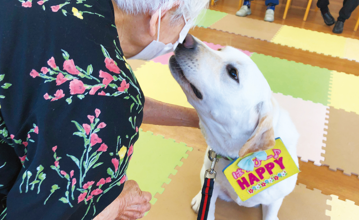 セラピードッグ事業