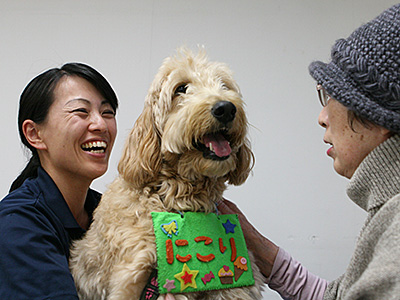 About Therapy Dogs