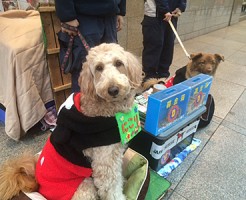 20151224街頭募金