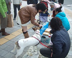 20141129街頭募金ボランティア