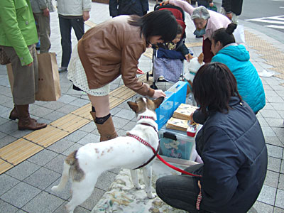 20141129街頭募金ボランティア