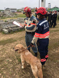 「公的救助機関と災害捜索犬の連携について」