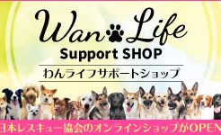 Wan Life Support SHOP
