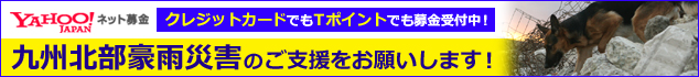 九州北部豪雨被害緊急募金 災害救助犬派遣