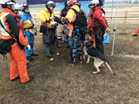 2018年2月1日兵庫県下国際緊