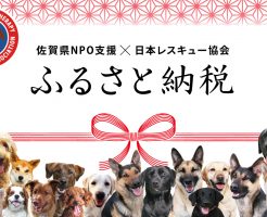 ふるさと納税