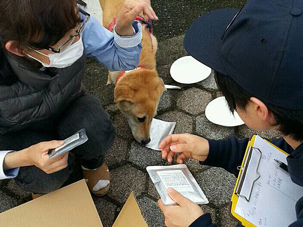 日本レスキュー協会×災害被災地支援活動