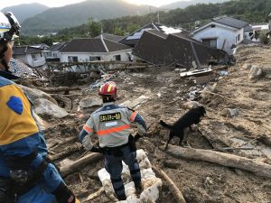 災害救助犬の育成および派遣の重要性