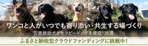 【第2弾】九州圏での災害に備え、災害救助犬・セラピードッグの育成・派遣拠点を佐賀県に作りたい！