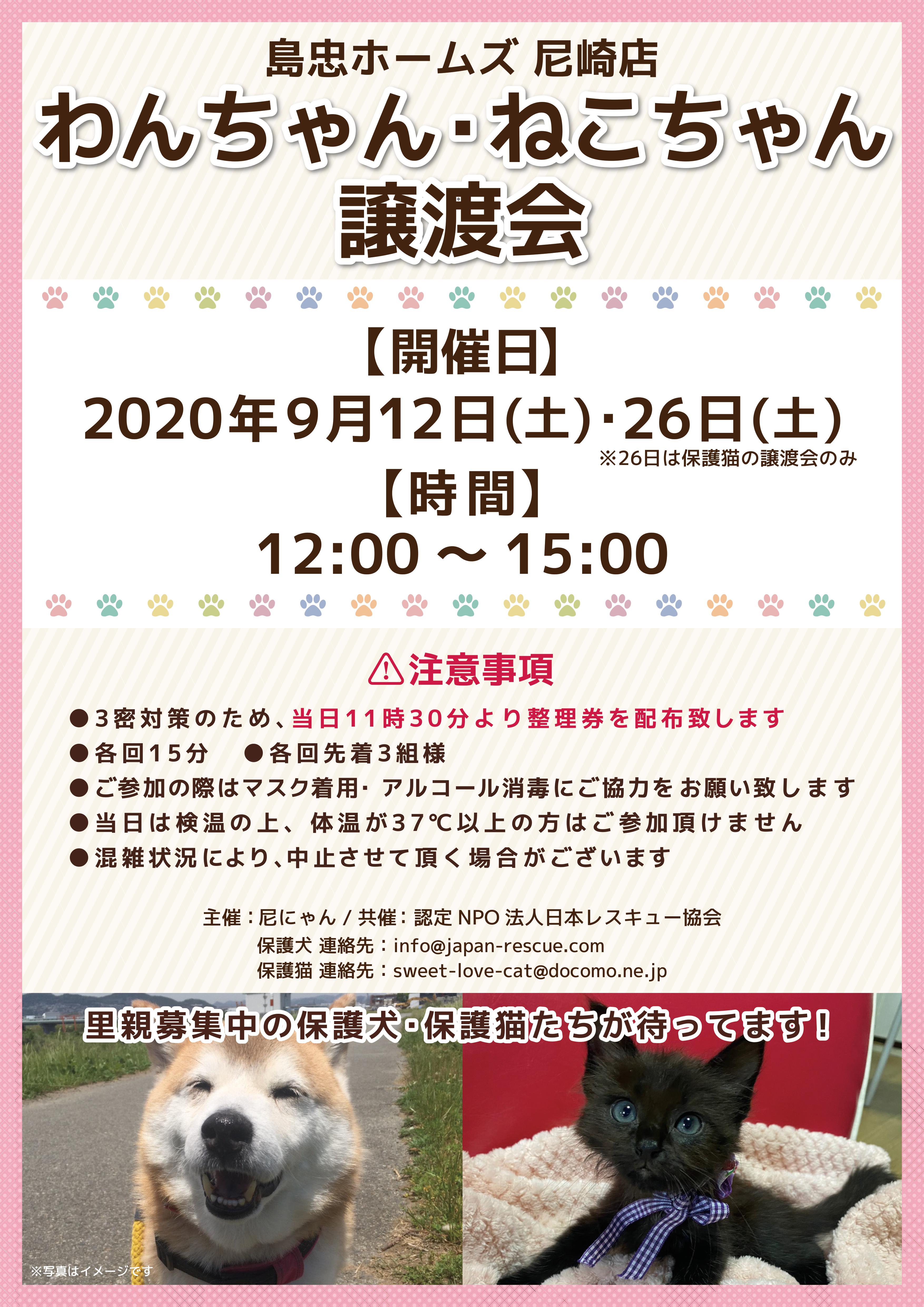 わんちゃん ねこちゃん譲渡会 9月12日 土 12時 災害救助犬 セラピードッグを育成 派遣する認定npo法人 日本レスキュー協会