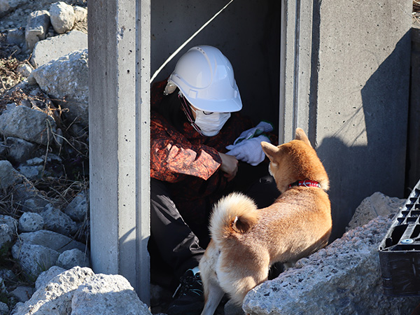 救助犬育成コース