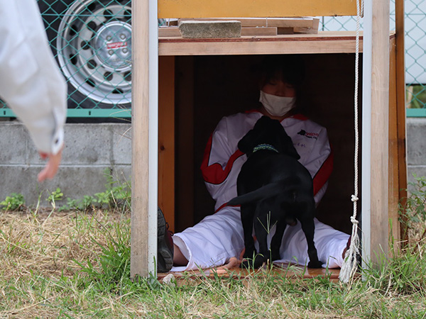 救助犬ハンドラー養成コース