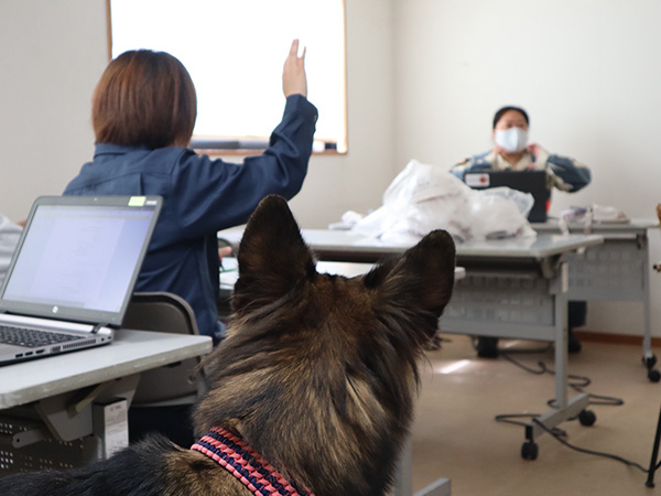 救助犬ハンドラー養成コース