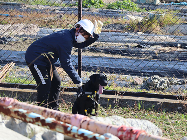 救助犬ハンドラー養成コース