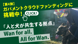 訪問アルバム 災害救助犬 セラピードッグを育成 派遣する認定npo法人 日本レスキュー協会