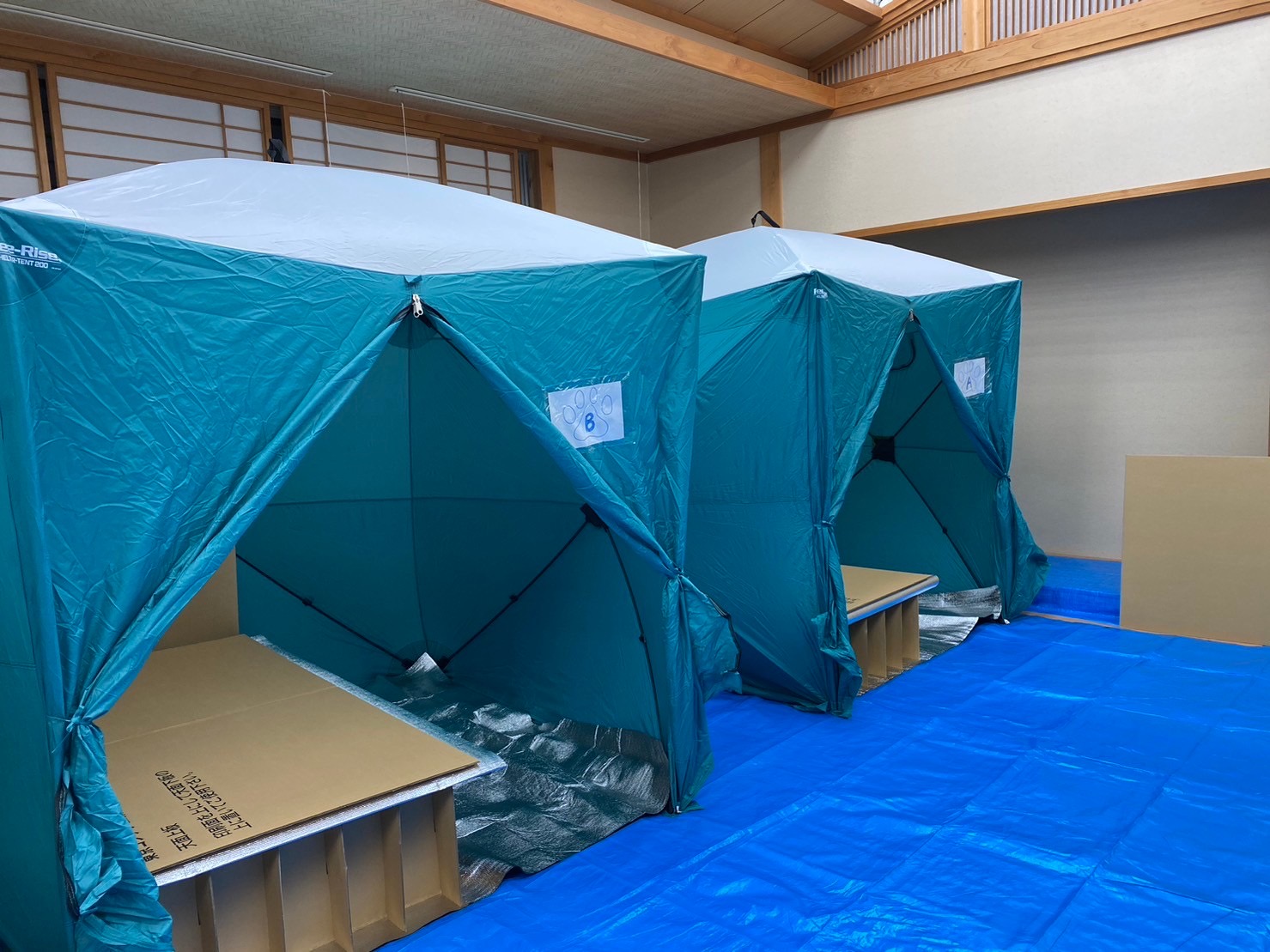 令和6年能登半島地震:被災ペット支援活動⑪】 | 災害救助犬