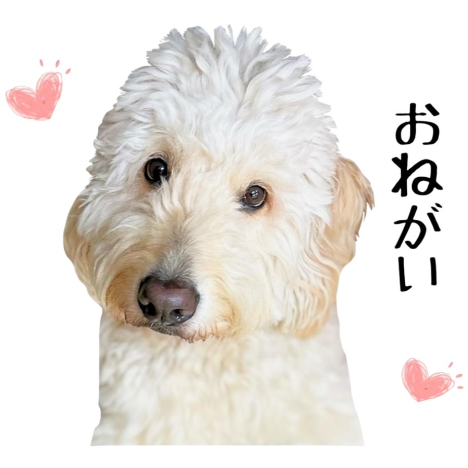 こども博覧会記念　犬山展　小型シート　初日印　 裁断エラー セラピードッグのLINEスタンプができました！ | 災害救助犬