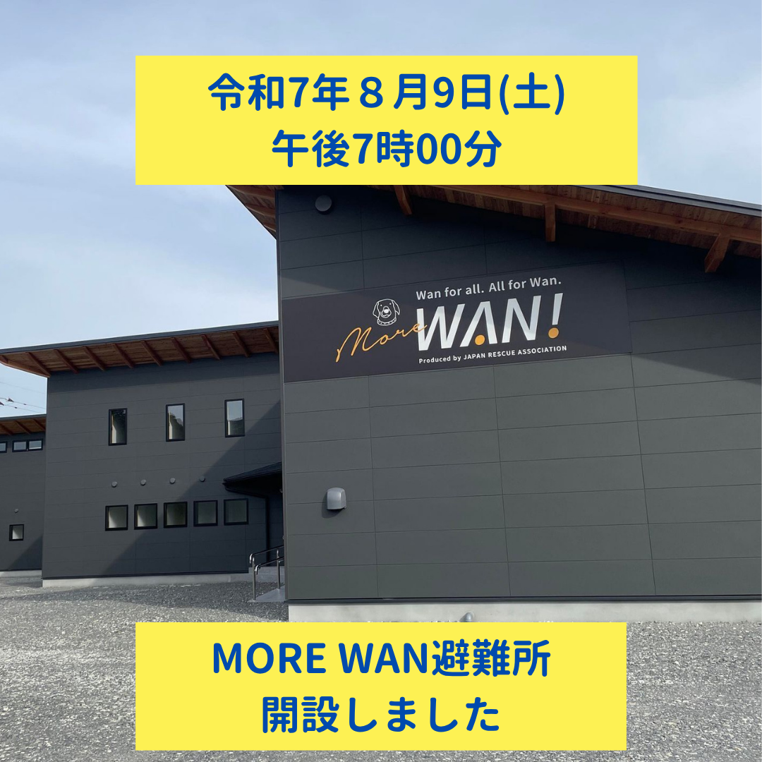 佐賀県支部MORE WAN 避難所開設】 2025年8月9日(土) 19時00分 | 災害